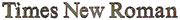 Times New Roman
